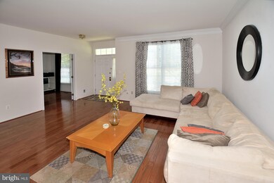 43073 Edgewater St, Chantilly, VA 20152 - photo 5