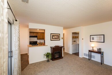 Open to Kitchen. Large Closet at Entry.