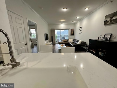 12925 Centre Park Cir unit 407, Herndon, VA 20171 - photo 4