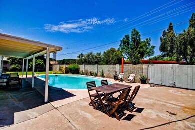 Playful Backyard