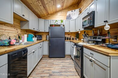 211 Young St, Johnson City, TN 37601 - photo 6