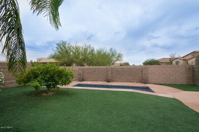 Grassy area