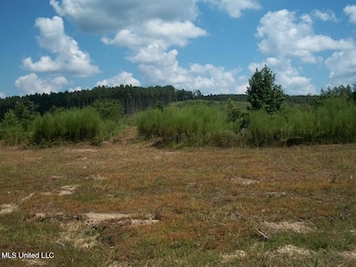 Tbd Oldenburg Rd, Meadville, MS 39653 - photo 3