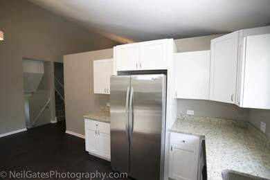 1317 Windemere Ave, Naperville, IL 60564 - photo 5