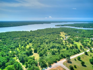 Aerial view of a heavily wooded area and a nearby body of water