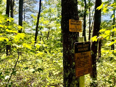 _Pic3 (48)