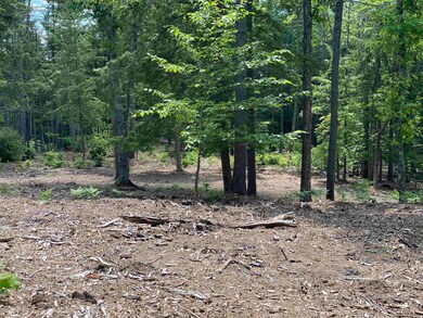 00 Jack Russell Rd unit 408-45-2, Effingham, NH 03882 - photo 6