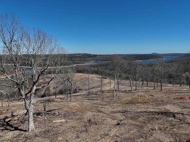 001-03317-000 Black Jack Trail, Mountain Home, AR 72653 - photo 6