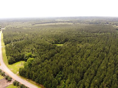 DJI_0642