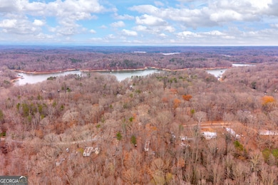 0 Ridgeview Dr unit 10655811, Lavonia, GA 30553 - photo 3