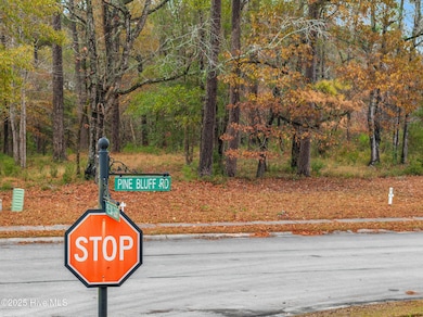 115 Pine Bluff Rd, Swansboro, NC 28584 - photo 7