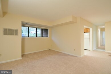 101 Skyhill Rd unit 101, Alexandria, VA 22314 - photo 3