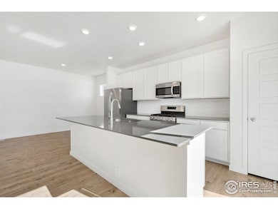 450 Buckboard Dr, Hudson, CO 80642 - photo 4