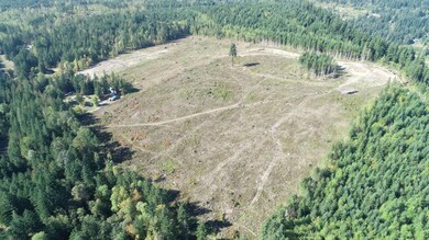 10119 Eatonville Hwy E, Eatonville, WA 98328 - photo 5