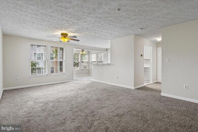 2445 103 Blue Spring Ct unit 103, Odenton, MD 21113 - photo 4
