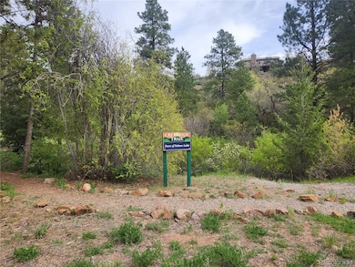 0 Buena Vista Ave unit REC5761187, Palmer Lake, CO 80133 - photo 4