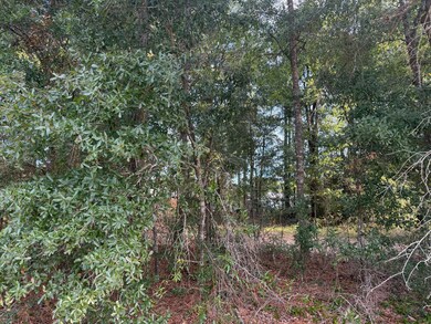 TBD Highway 90, Defuniak Springs, FL 32433 - photo 4