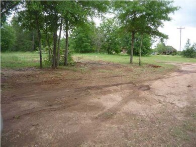 3221 New Hope Rd, Dawson, GA 39842 - photo 3