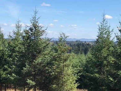 20240 Oregon 22, Sheridan, OR 97378 - photo 5