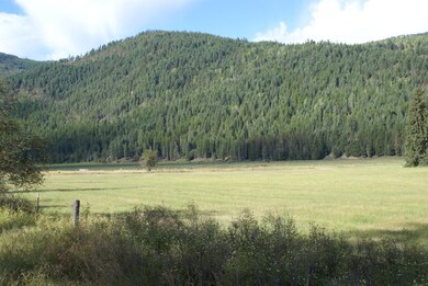 Grass Hay field