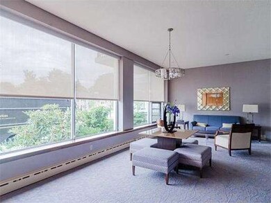 Hammond Park Condominiums unit 17, Chestnut Hill, MA 02467 - photo 3