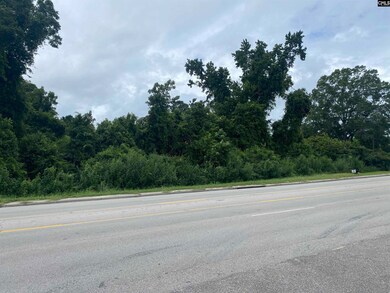 0 Charleston Hwy unit 614830, Orangeburg, SC 29115 - photo 3