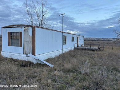 0 148th Ave SW, South Billings, ND 58645 - photo 4