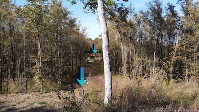 1439 Cedar Mills Rd, Gordonville, TX 76245 - photo 6