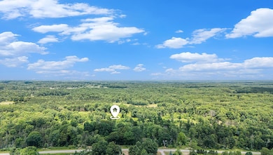 2714 E Hawley Rd, Custer, MI 49405 - photo 5