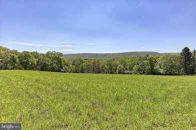 Lot 0 Tiley Rd, Ashland, PA 17921 - photo 4