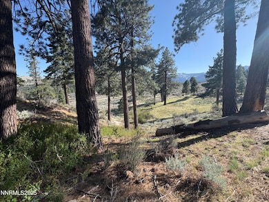 5000 W Hwy 50, Carson City, NV 89703 - photo 5