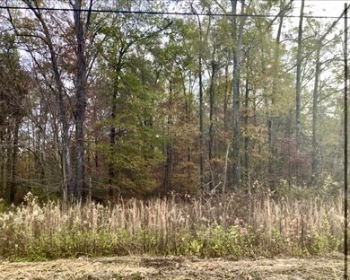 0 Carbondale Rd SW unit 1522370, Dalton, GA 30721 - photo 5