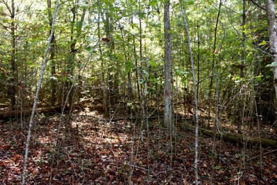 20171006235046246017000000-o