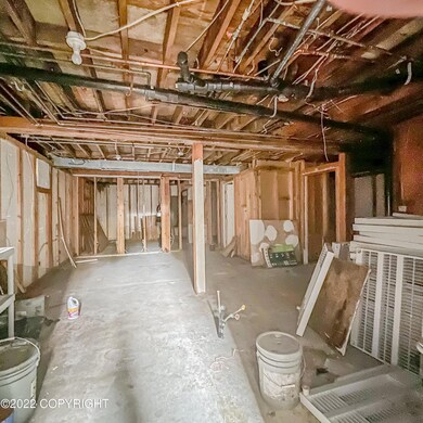 Unfinished Basement