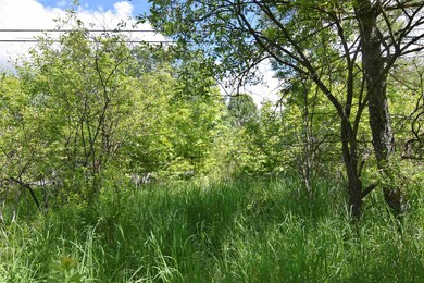 0 Main St unit 4916430, Bethlehem, NH 03574 - photo 5