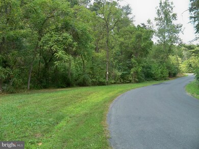 0 Three Run Rd unit 1000089147, Bunker Hill, WV 25413 - photo 4