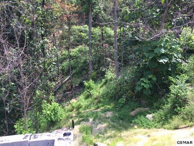 Additional View 6
