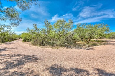 10193 Twin Lakes Ln, San Angelo, TX 76904 - photo 6