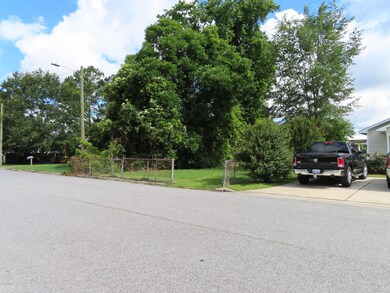 227 E Hammond St, Winterville, NC 28590 - photo 6