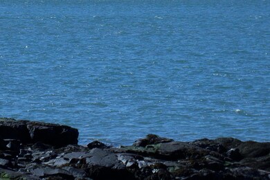 Lot 1 Yoho Head Rd, MacHiasport, ME 04655 - photo 4