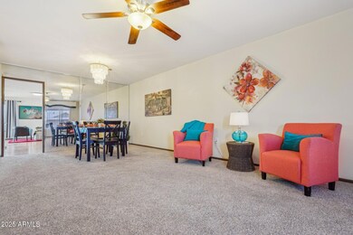 Carpet in this room