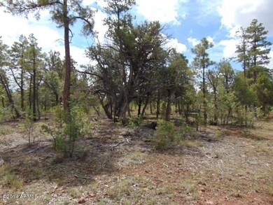 Lot 487 2