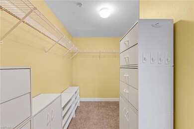 Walk in closet featuring light colored carpet
