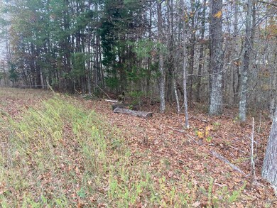 Woods surroud cleared spot