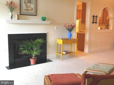 Park Place unit 211, Frederick, MD 21701 - photo 6