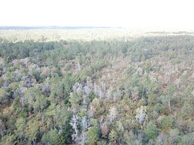 Gore Store Rd, Kountze, TX 77625 - photo 4