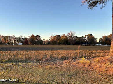 3 Bradshaw St, Clinton, NC 28328 - photo 2