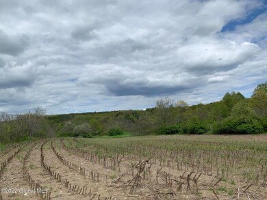 IMG_8749 (1)