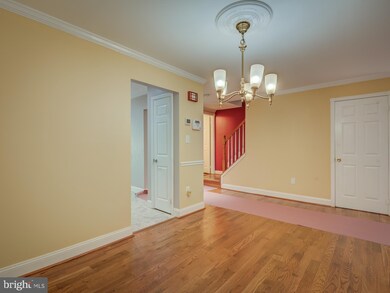 6806 Earthstar Ct, Springfield, VA 22152 - photo 7