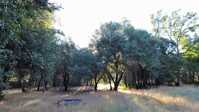 0 Fieldbrook Estates Dr unit 17-559, Redding, CA 96003 - photo 5